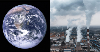 Scientists Issue Warning After Trees And Land Absorb Almost No CO2 Last Year