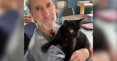Man Saves Tiny Black Cat From A Field, Unaware The Cat Would Soon Repay The Favor