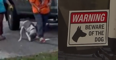 Louisiana Woman Partially Eaten By Neighbor's Dogs After Falling In Driveway