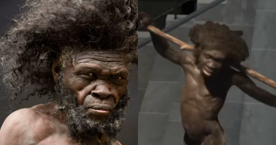 Museum's Recreation Of Early Humans Stuns People With Extreme Detail