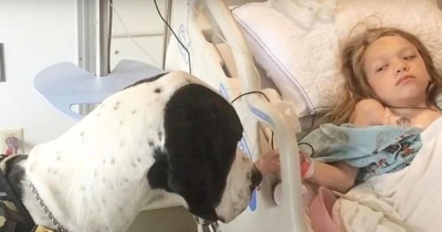 Service Dog Who Gives "Everything" for His Girl Gets Rewarded with the "Best Day Ever"