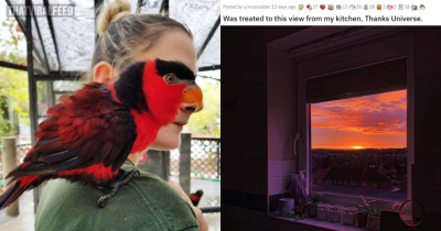 Viral Pictures That Were Taken At The Exact, Perfect Moment