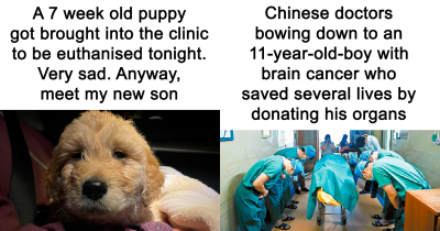 If You&rsquo;re Feeling Like The World Is Falling Apart, These 50 Positive Stories Will Brighten Your Day