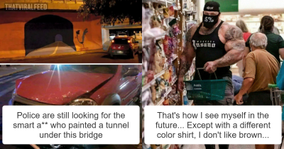 50 Pictures That Have No Right To Be This Funny