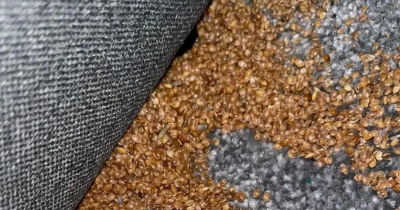 Mom&rsquo;s Horrifying Discovery At Son&rsquo;s Bed Sparks Fear Online