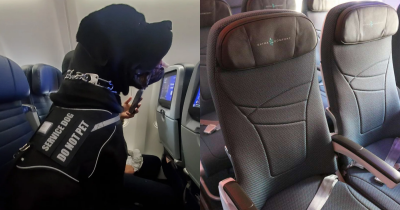 Airline Passenger Moved From Seat To Make Way For A Dog, Sparking Outrage