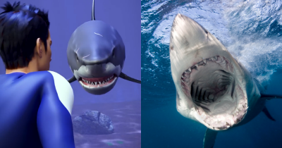Terrifying Shark Attack Simulation Shows How To Defend Yourself, But People Say It&rsquo;s &lsquo;Too Hard&rsquo;