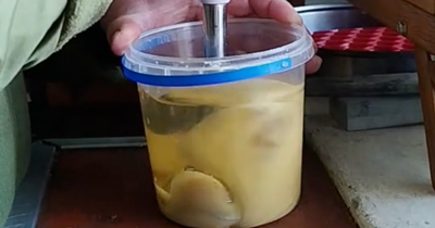 People Are Shocked After Seeing How Mayonnaise Is Really Made