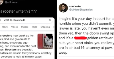 27 Hilariously Suspiciously Specific Posts That Made Us Wonder