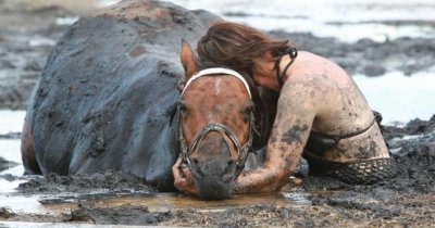 Woman Holds Her Horse For Hours As Rising Tide Threatens His Life
