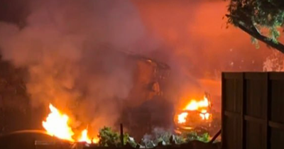 Plane Crashes Into San Diego Neighborhood Sparking Fires Across Multiple Homes