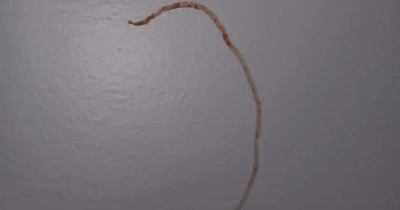 Man Discovers Creepy Symbol 'Written In Blood' On Bedroom Wall &mdash; The Truth Is Even More Unsettling