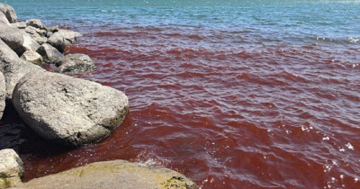 Biblical Sea Turns Blood Red, Stirring Apocalypse Fears And Warnings Of A 'Bad Omen'
