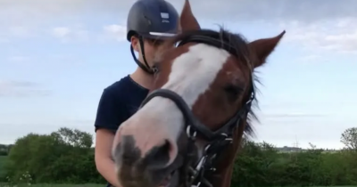Mom Explains Why She Doesn't Regret Giving Her Daughter's Pony To Zoo To Be Fed To Lions