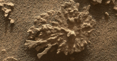 NASA's Curiosity Rover Finds 'Coral-Like' Rock On Mars, Hinting At The Planet's Watery Past
