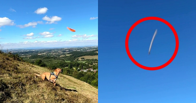 British Man Filming Dog Playing Fetch Accidentally Captures What Could Be A UFO In The Sky