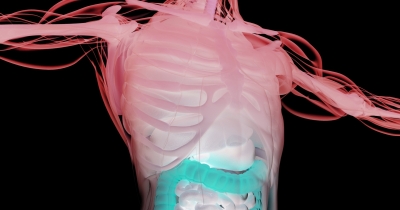 Doctor Explains What Happens To Your Body When You Stop Eating For Three Days