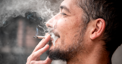 Simulation Reveals What Happens Inside Your Body After Smoking Weed As Users Warned About Alarming New Side Effect