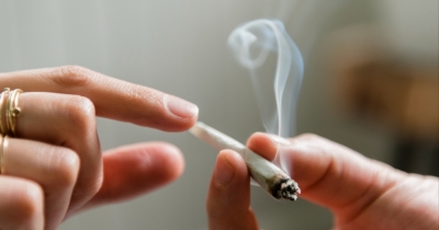 Bombshell New Study Reveals The Real Impact Medical Marijuana Has On Your Body
