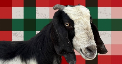 5 Christmas Superstitions You Probably Never Heard Of