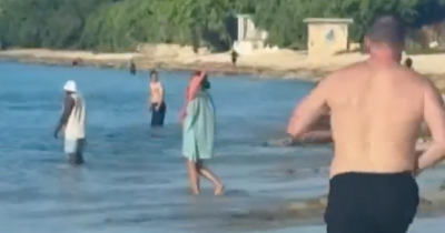 Harrowing Video Captures Man Trying To Save Woman During Fatal Shark Attack As Officials Share Details