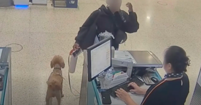 Airport Staff Stunned After Woman Leaves Dog Behind When Told It Cannot Board Plane