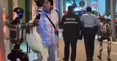 Humanoid robot reportedly &lsquo;detained&rsquo; by police after frightening elderly woman on the street