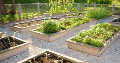 How To Start A Raised Bed Garden For Beginners