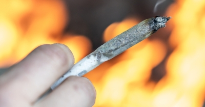 Cannabis Users Warned About Painful 'Scromiting' Side Effect After Donald Trump Reclassifies Drug