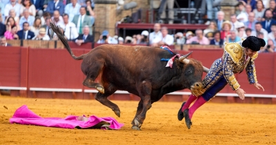 Famous Spanish Matador Struggles To Eat Or Sleep After Brutal Rectal Goring