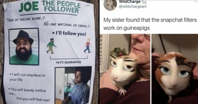 19 Funny Internet Finds From This Month That Made Us Ask One Thing: But Why?