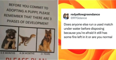 Hilarious Posts From This Week That Feel A Little Too Relatable